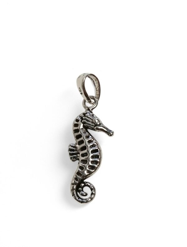 Colgante Caballito de Mar plata 925 21mm